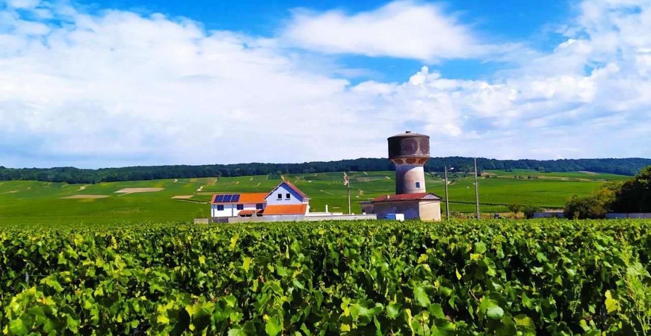 Bed and Breakfast Au Bouchon Champenois Bouzy Exterior foto